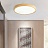 Деревянный светодиодный светильник на потолок DISC WOOD фото 4