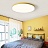 Плоский потолочный светодиодный светильник DISC HALF 26 см  Желтый фото 4