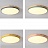 Цветные плоские светодиодные светильники в эко стиле DISC DH 48 см  Белый фото 24