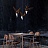 Серия подвесных светильников виде деревянных птиц со светящимися клювами с дополнительным световым элементом в потолочном креплении HANSY маленький Модель А темный фото 18