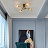Минималистская потолочная люстра со стеклянными плафонами IGEN 12 плафонов Золотой Дымчатый фото 4