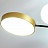 Серия потолочных светодиодных люстр с дисковидными и шарообразными плафонами на разветвленном каркасе MARTA B золото фото 18