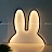 Настольный светильник ins Miffy Rabbit фото 8