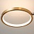 Серия потолочных люстр с шарообразными стеклянными плафонами и светодиодными кольцами на ветвистом каркасе BETINA C фото 19